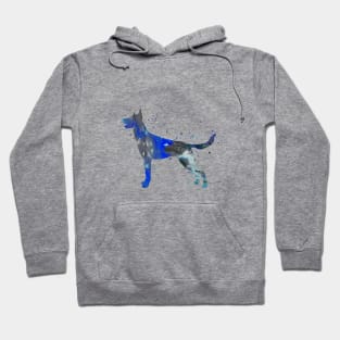 Belgium Malinois Hoodie